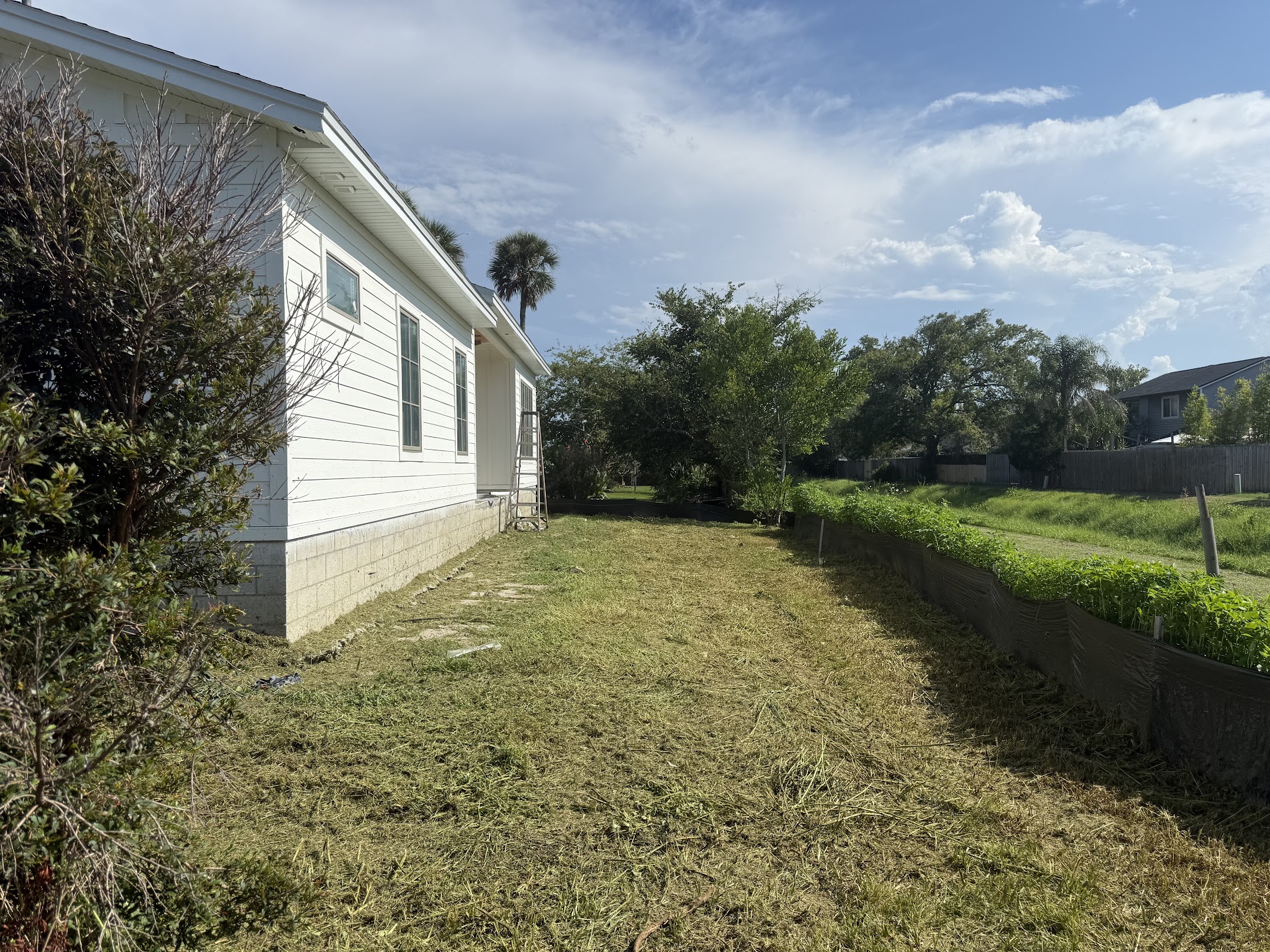 Side Yard Reclamation - after