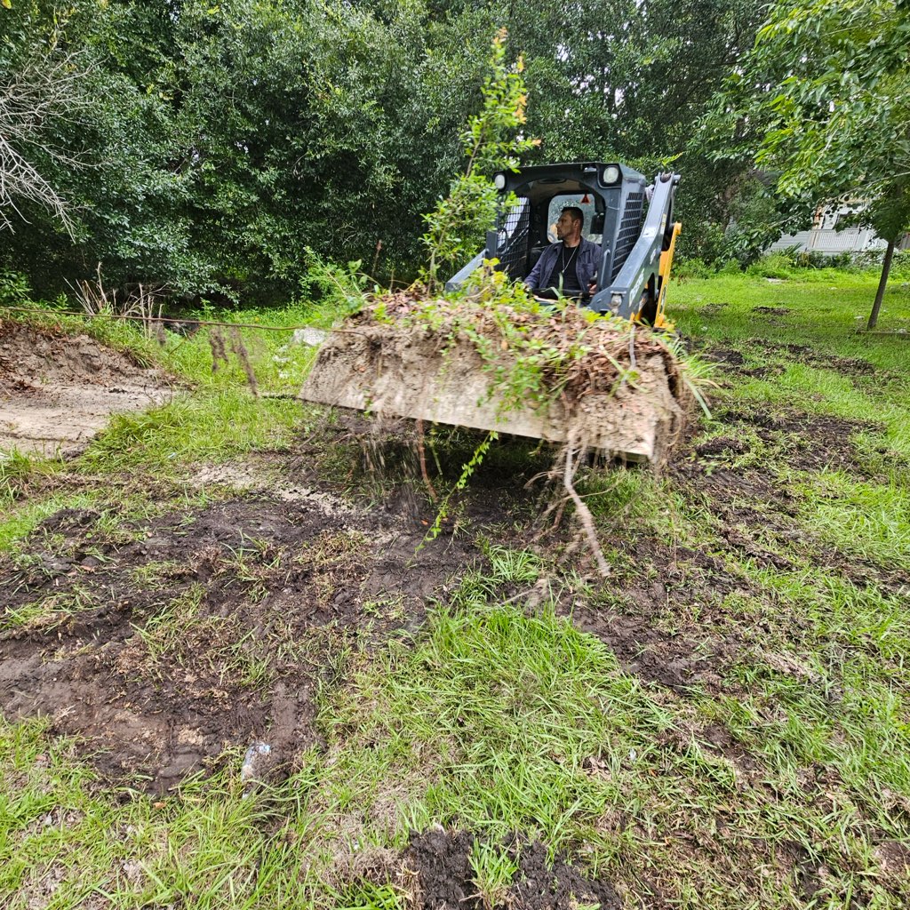 Skid Steer Land Clearing
