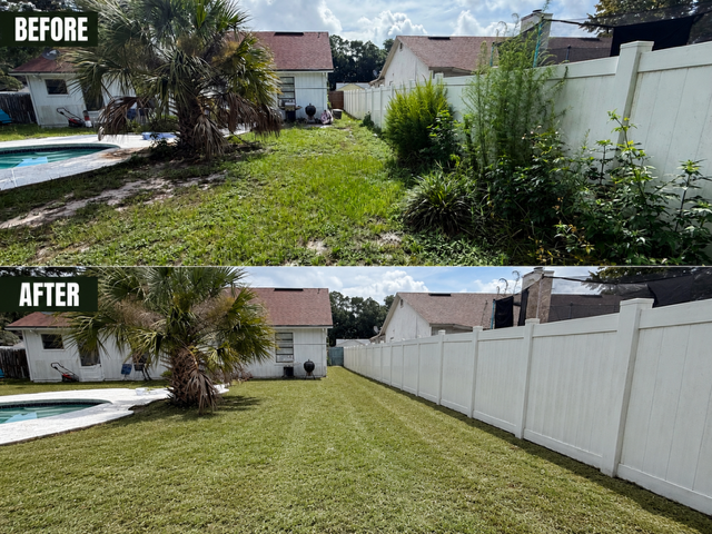 Backyard Before & After