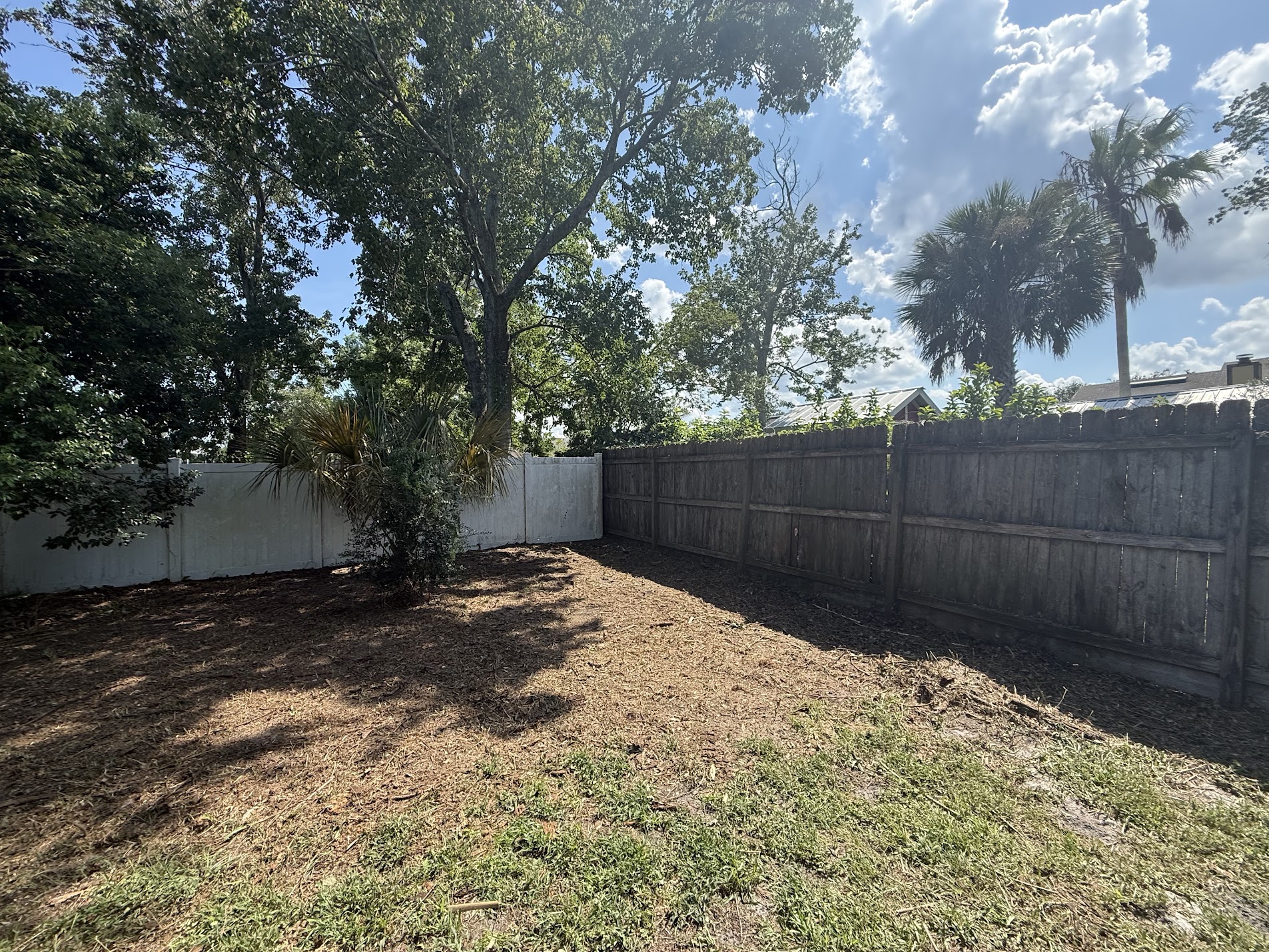 Overgrown Backyard Cleanup - after
