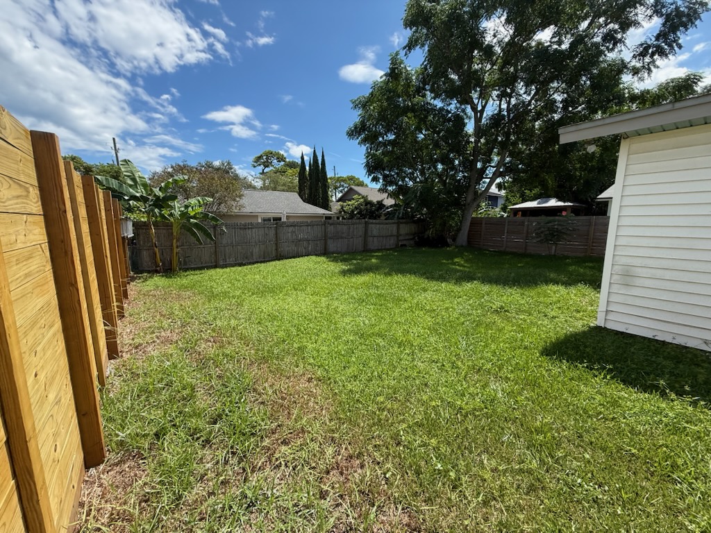 Backyard Cleanup & Mow - before
