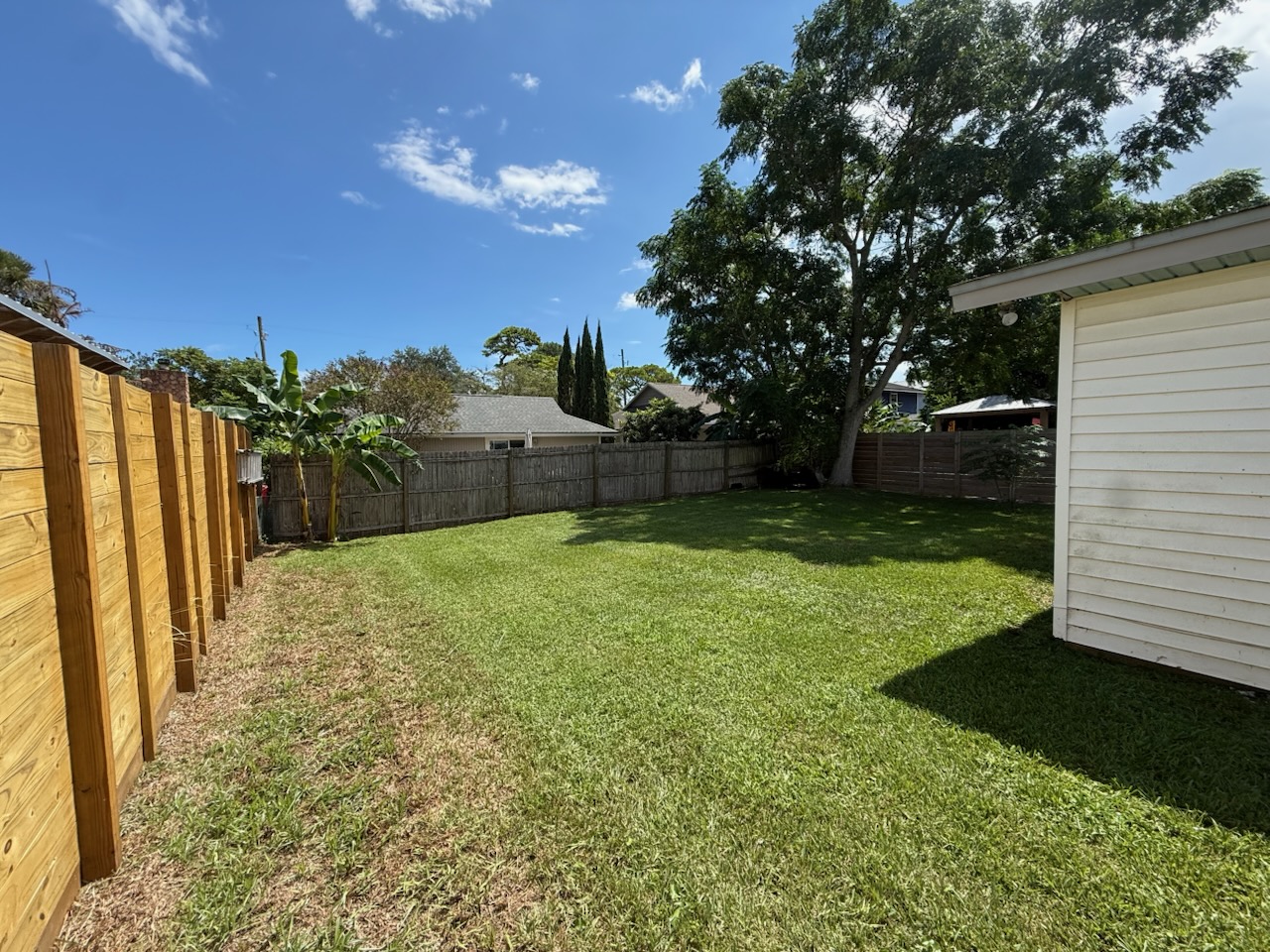 Backyard Cleanup & Mow - after