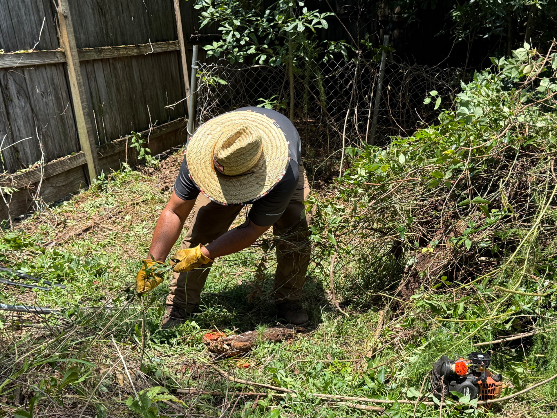 Hands-On Brush & Debris Removal